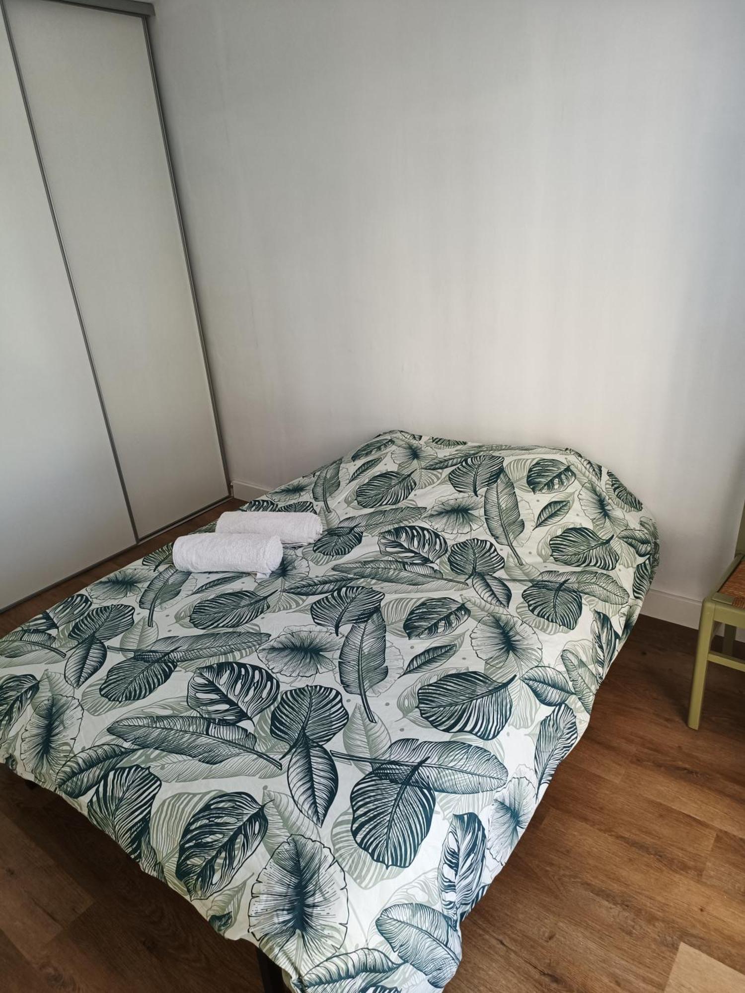 Appartement Proche Centre Ville / 3 Chambres Перпинян Екстериор снимка